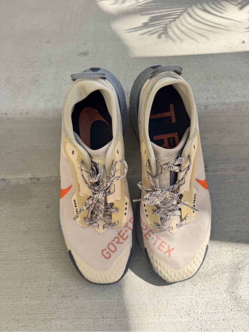 Nike Pegasus Trail 3 GTX Rattan